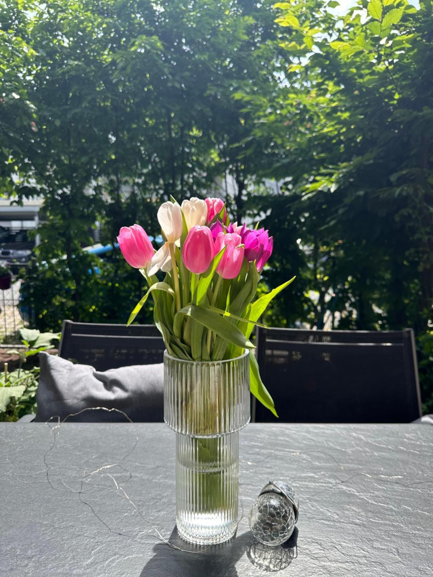 Luxus I Wohnkueche I Garten I Terrasse I Parkplatz Furth Bagian luar foto